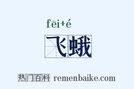 飞蛾是什么意思的图片